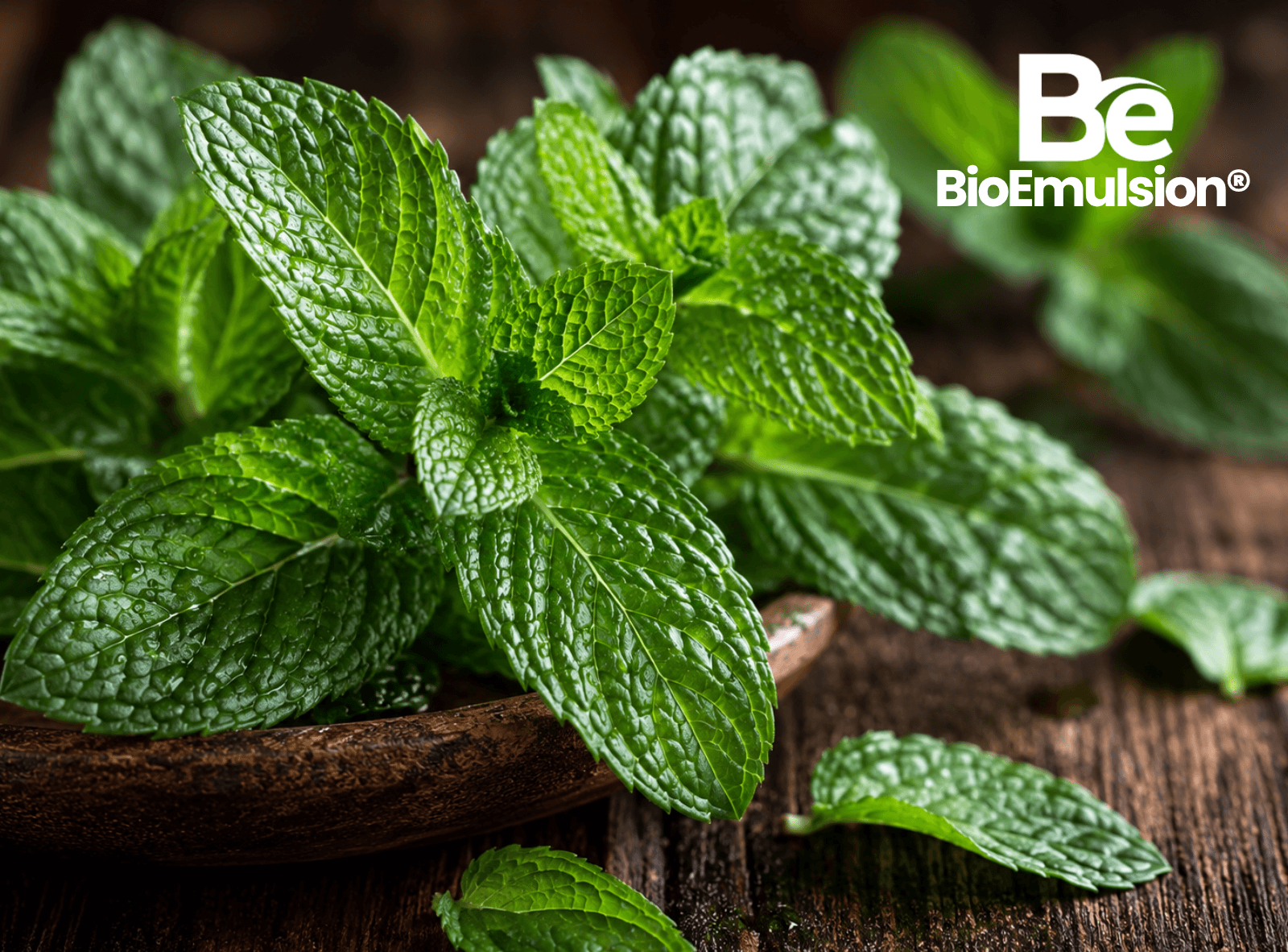 BioEmulsion® Mentol Personal Care