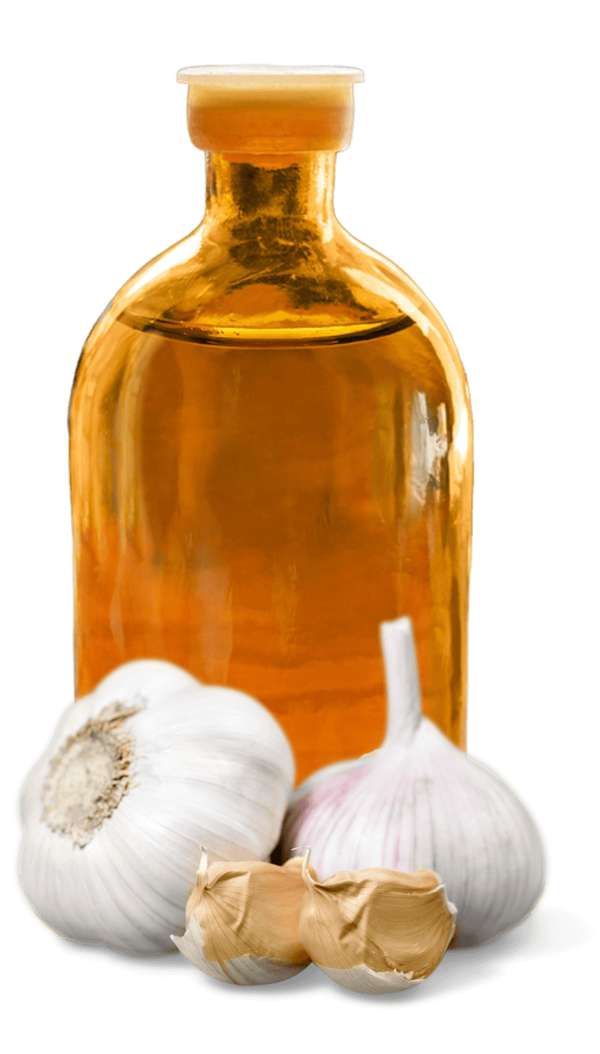 Garlic Extract
