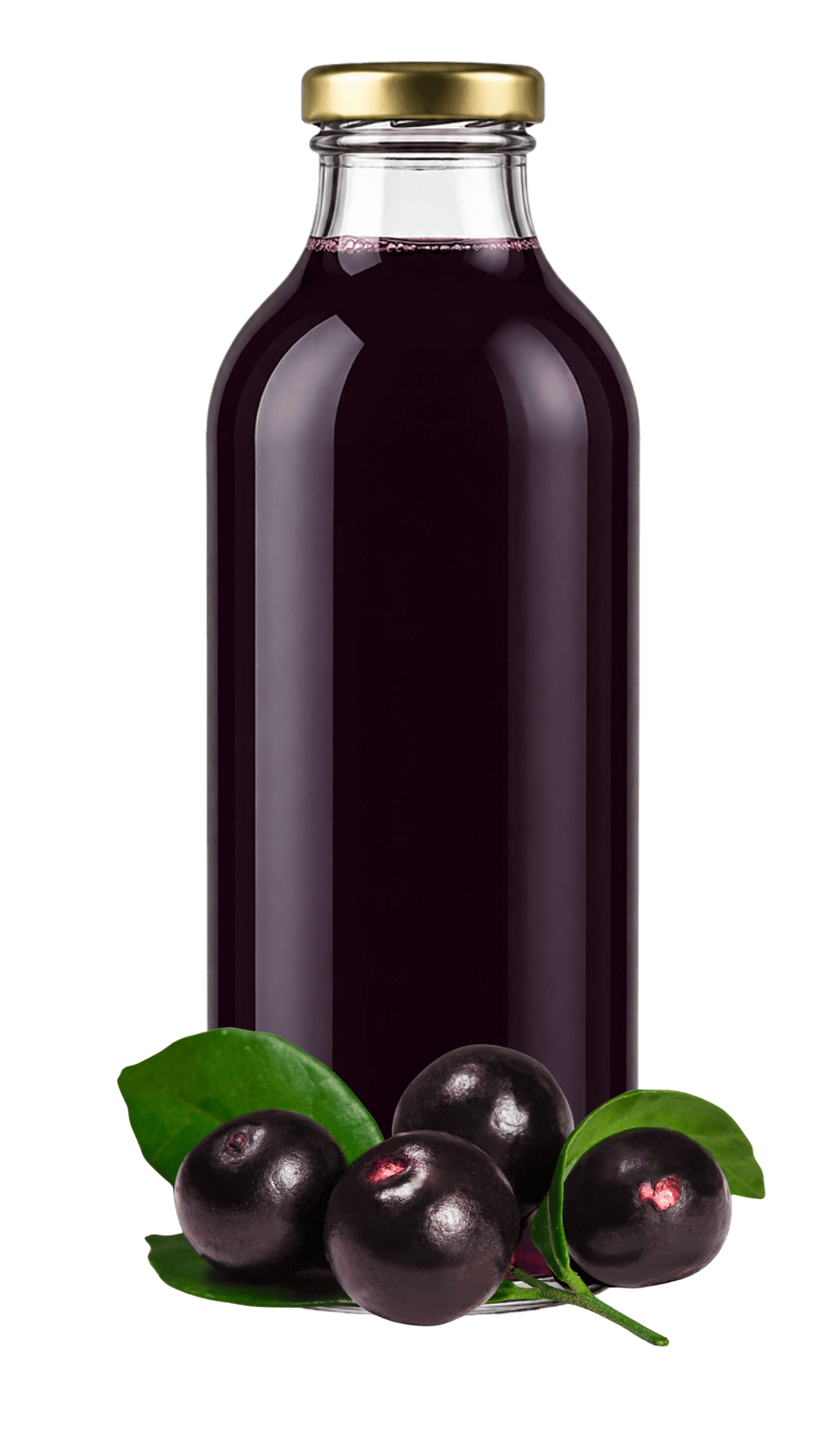 BioSyrup Açaí