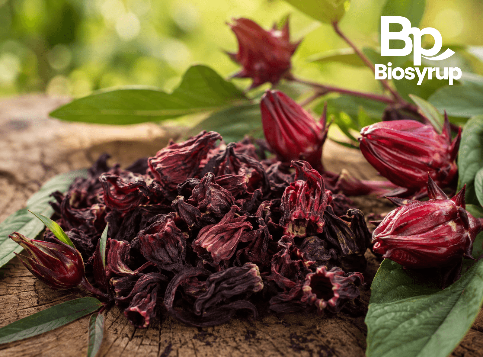 BioSyrup Flor de Jamaica