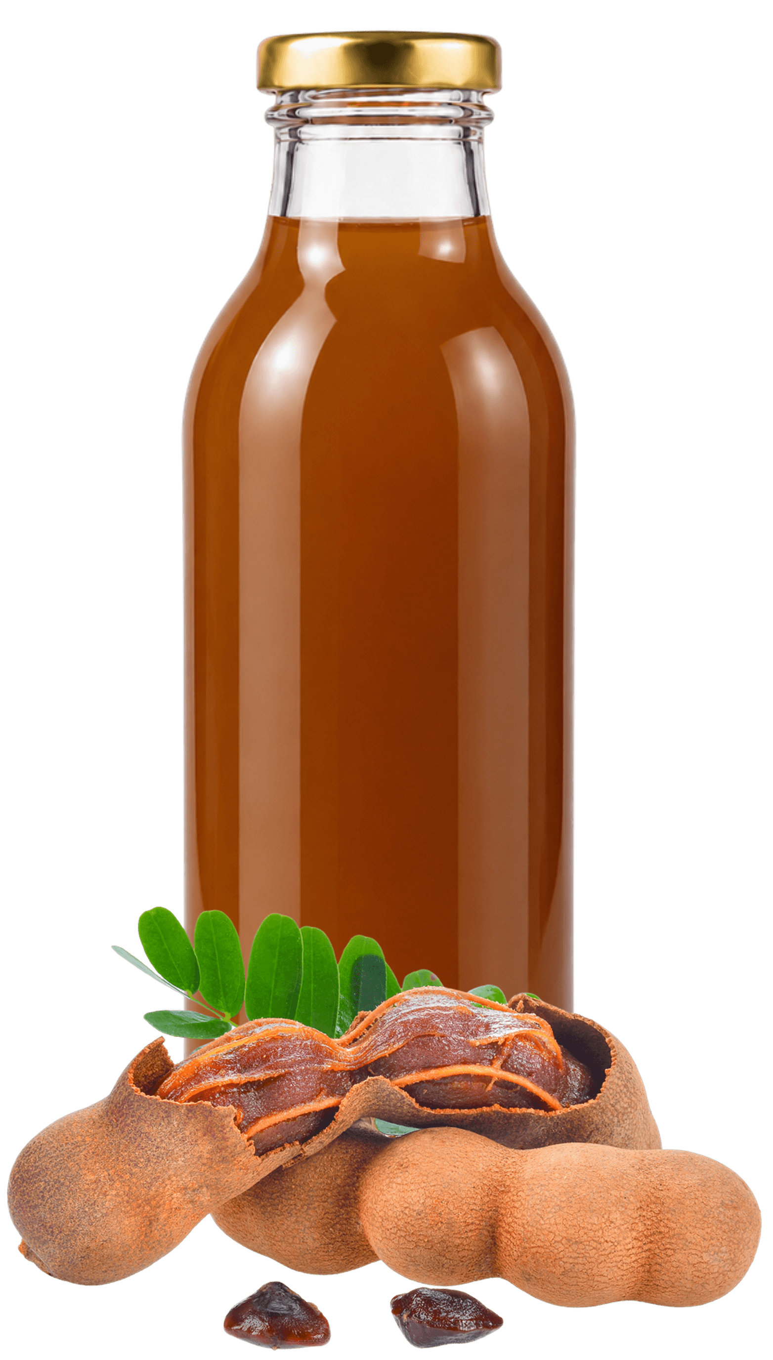 BioSyrup Tamarindo