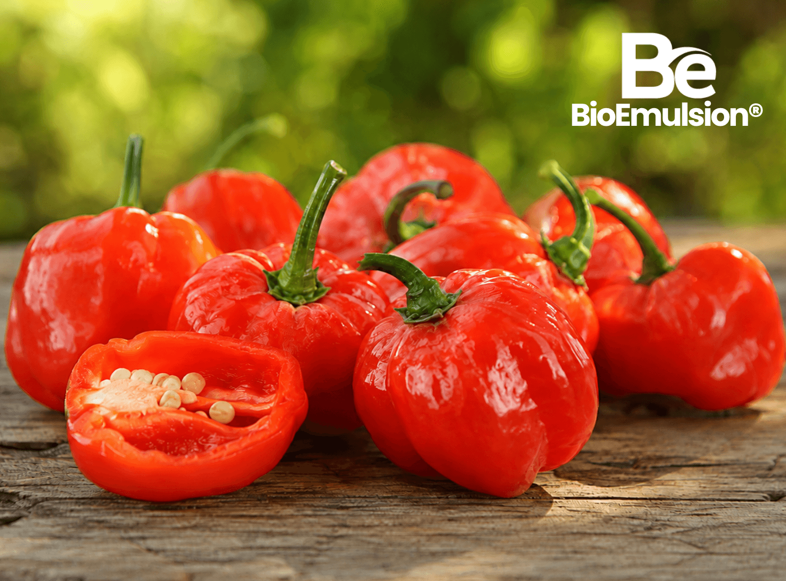 BioEmulsion® Ají