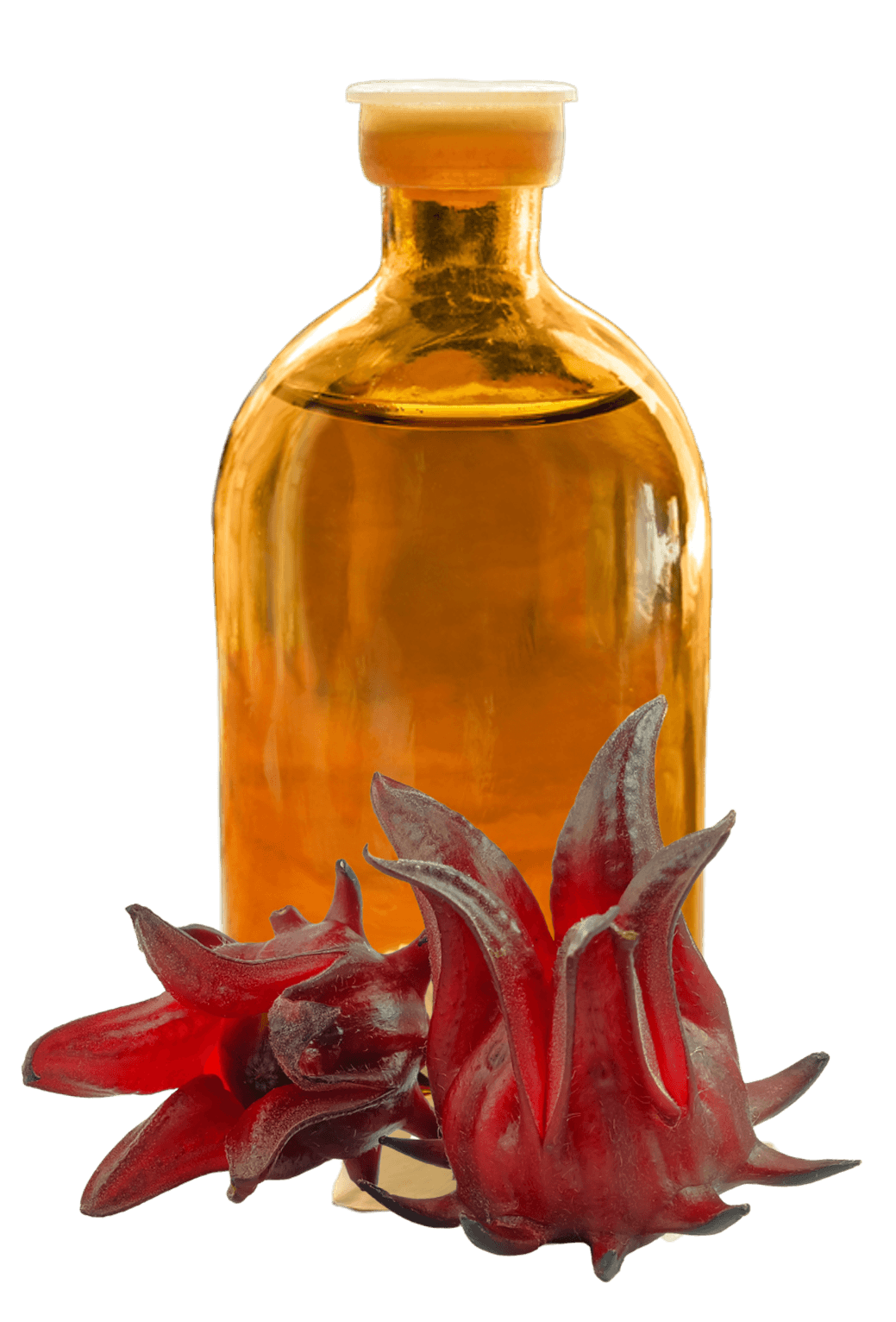 Extracto de Flor de Jamaica