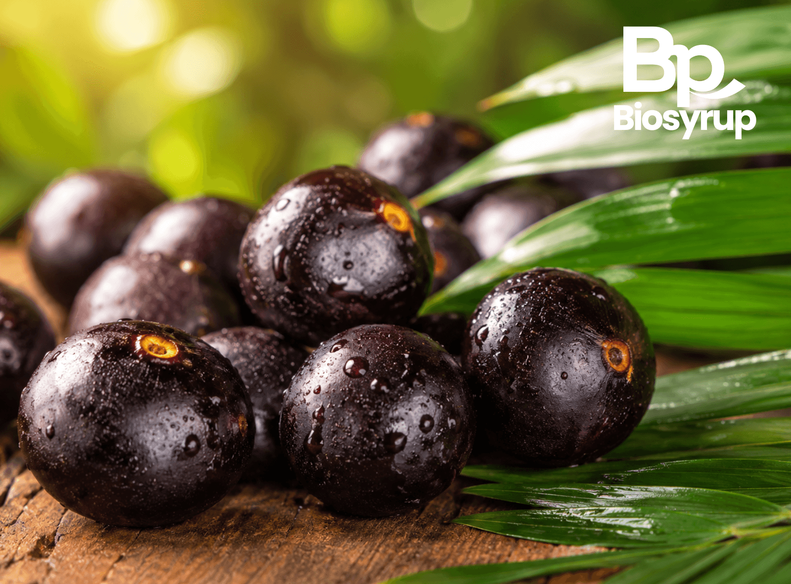 BioSyrup Açaí
