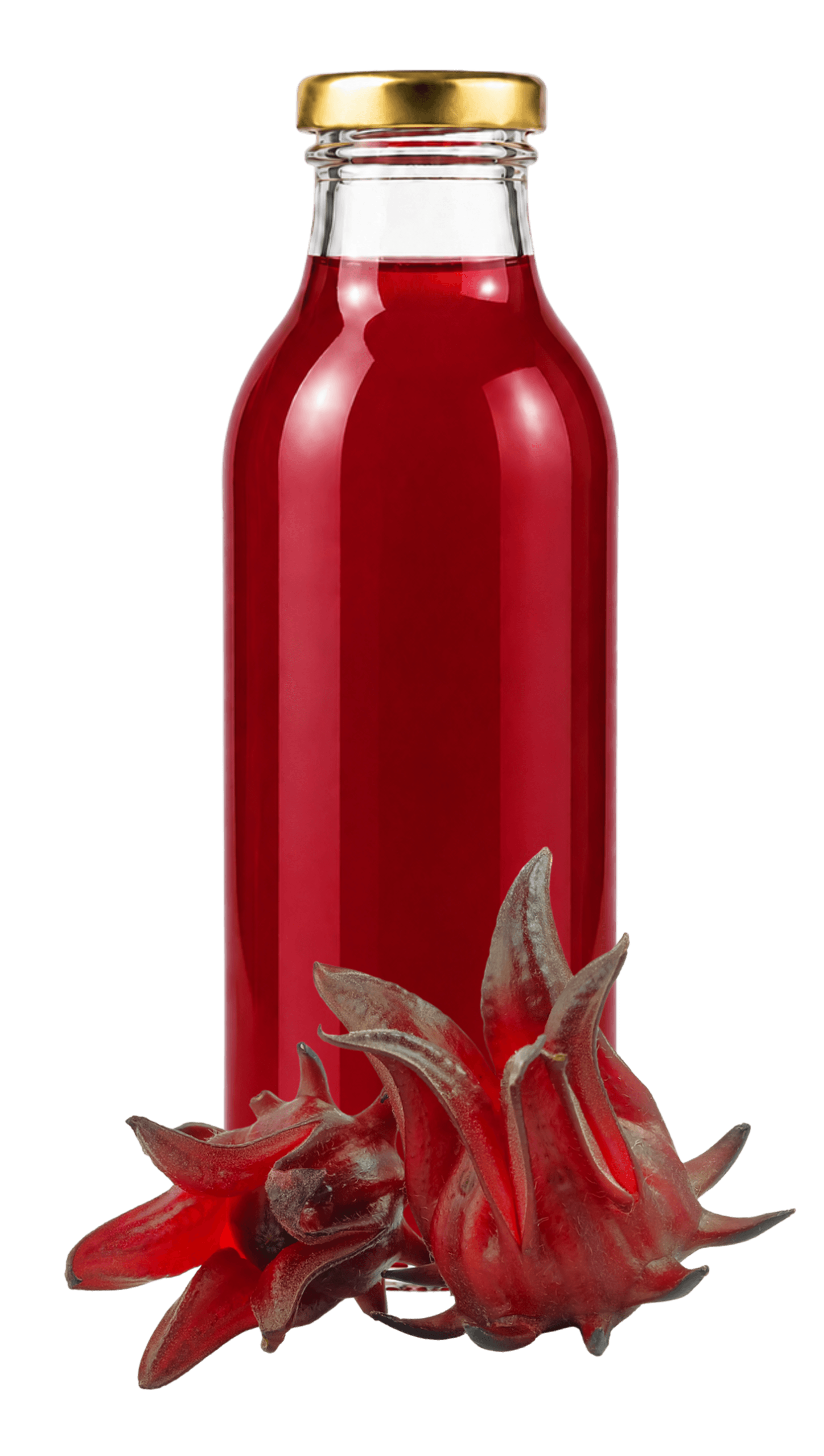 BioSyrup Flor de Jamaica