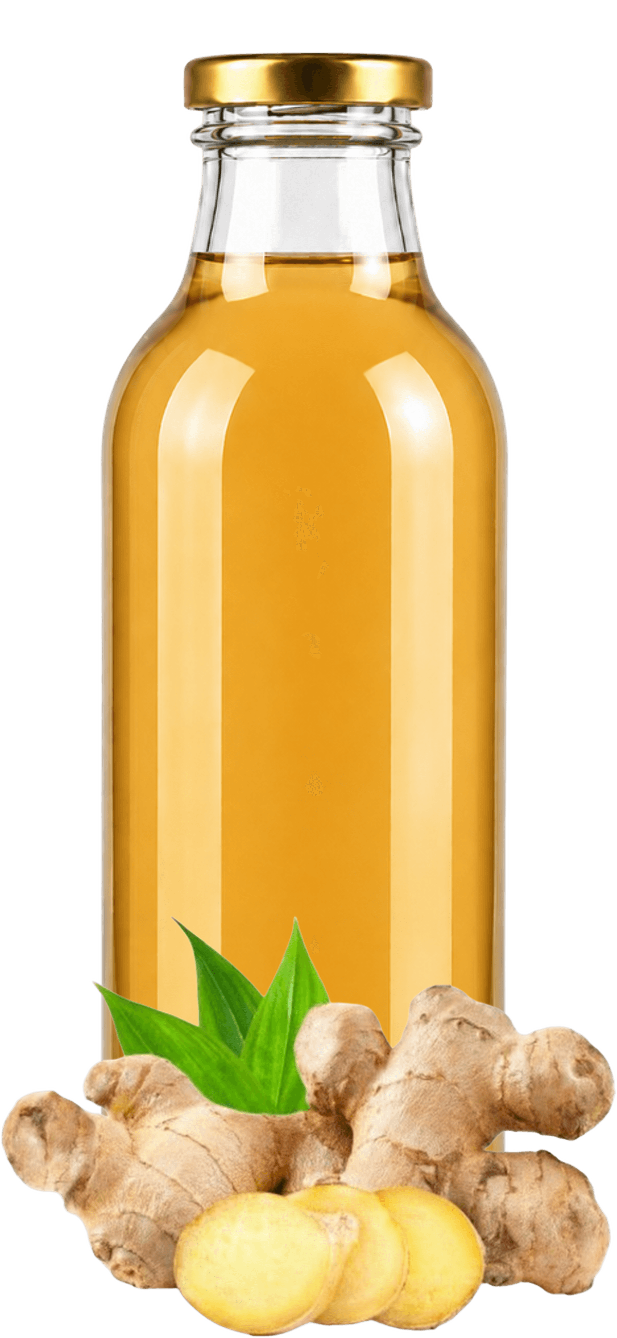Extracto Botánico de Jengibre